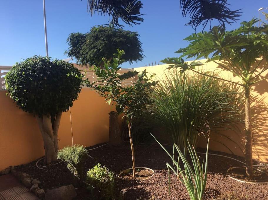 Independiente Estudio En Acogedora Casita De Mai Costa Adeje  Eksteriør billede